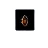 Ring met cognac-amber - Afbeelding 2